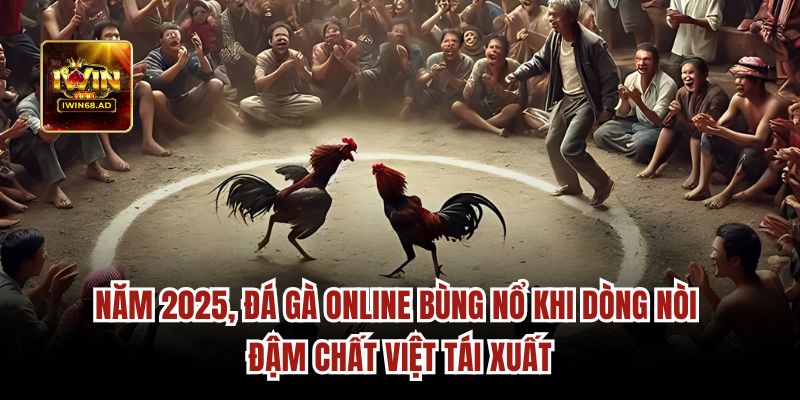 Năm 2025, đá gà nòi iwin68 bùng nổ khi dòng nòi đậm chất Việt tái xuất