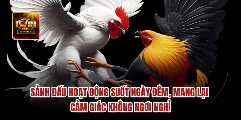 Sảnh đấu hoạt động suốt ngày đêm, mang lại cảm giác không ngơi nghỉ