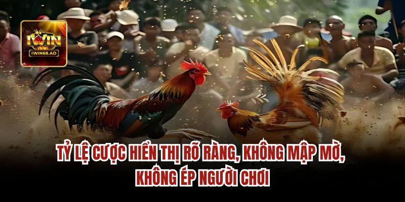 Tỷ lệ cược hiển thị rõ ràng, không mập mờ