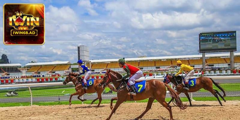 Đua Ngựa Iwin68 huyền thoại tốc độ và chiến lược cuốn hút
