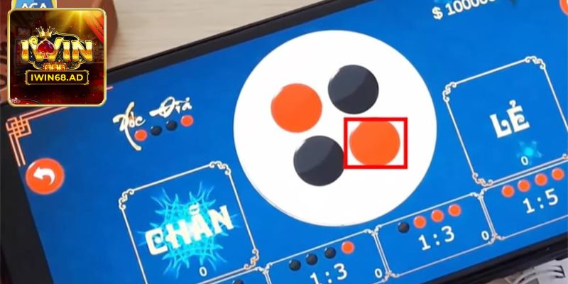 Hướng dẫn hội viên chi tiết cách chơi